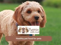 Healthy pet food for pets