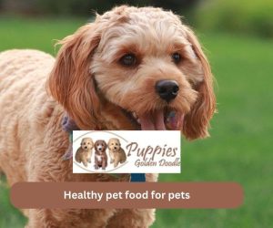 Healthy pet food for pets